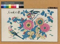 藏品(黃花晚丁香)的圖片